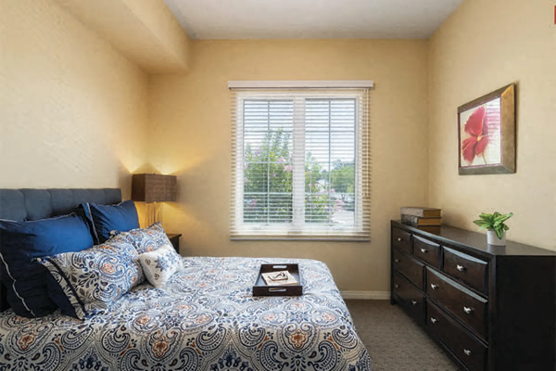 spacious living areas-2