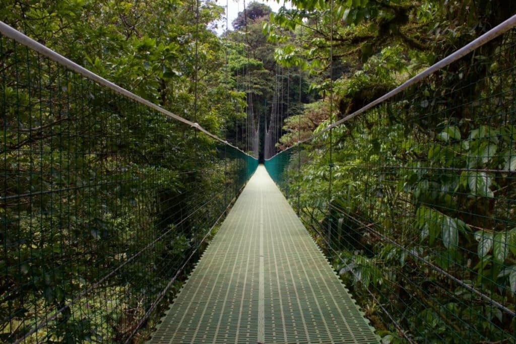 Tropical Costa Rica