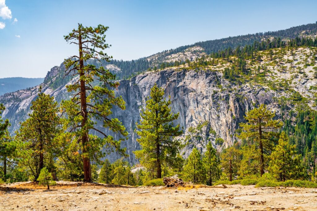 Fresno National Parks