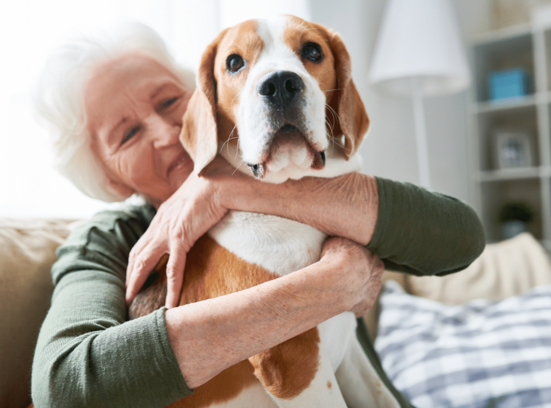 senior living that allows pets