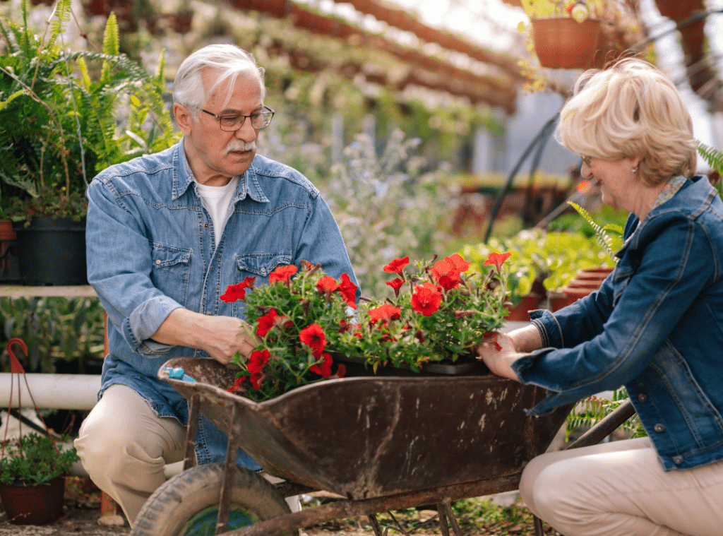 gardening tips for seniors