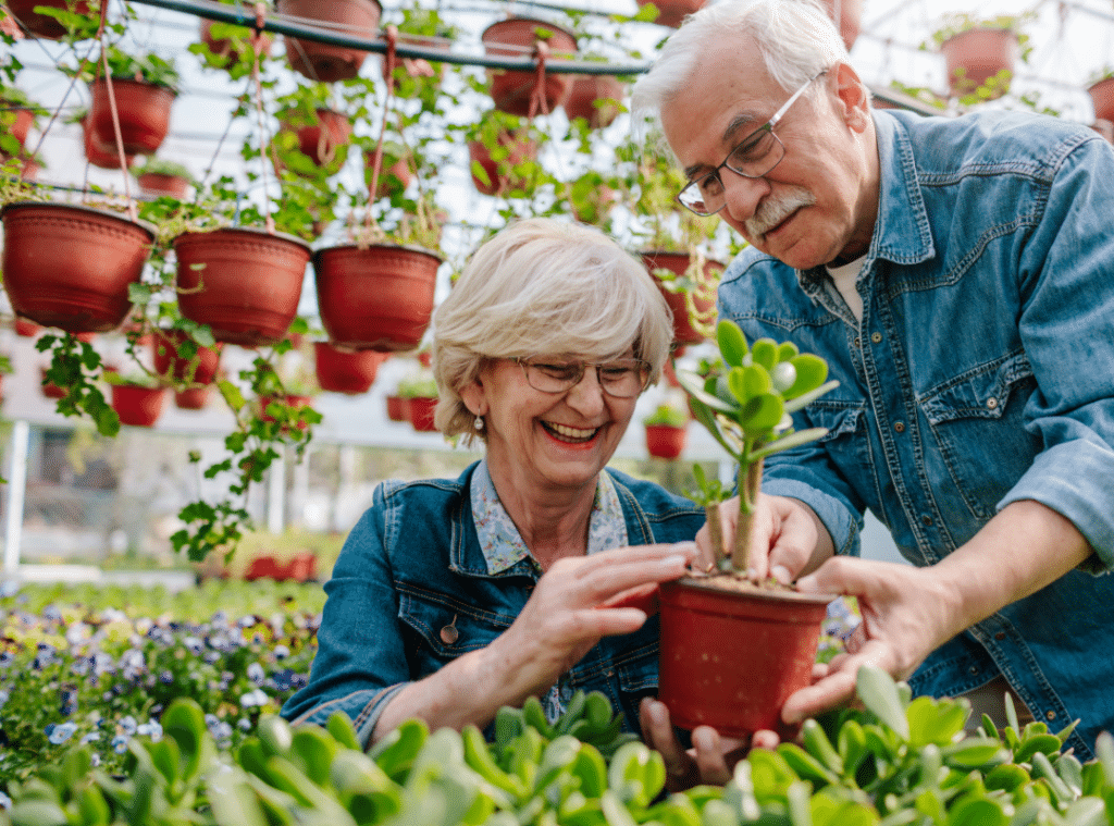 gardening tips for seniors