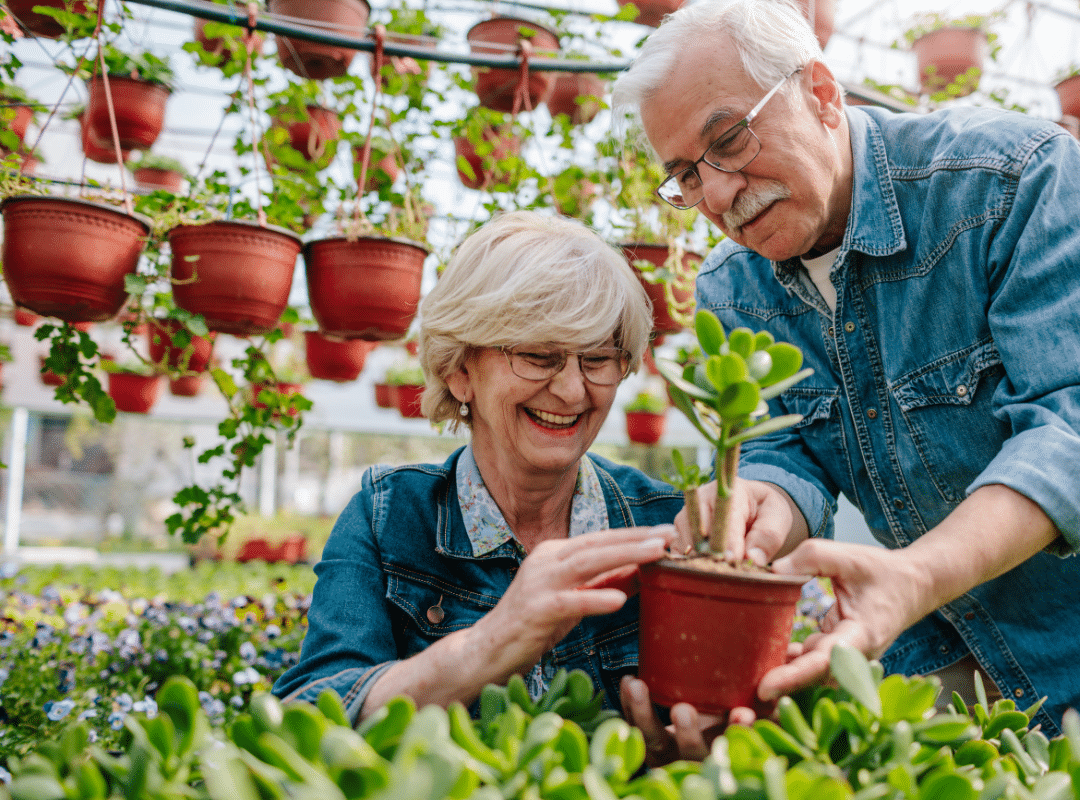 gardening tips for seniors