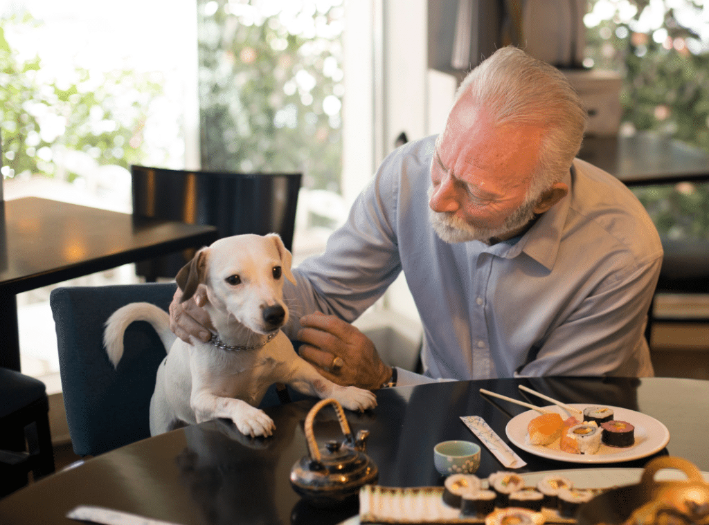 senior housing pet friendly