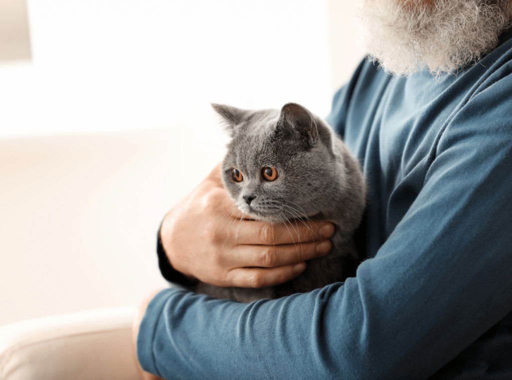 senior housing pet friendly