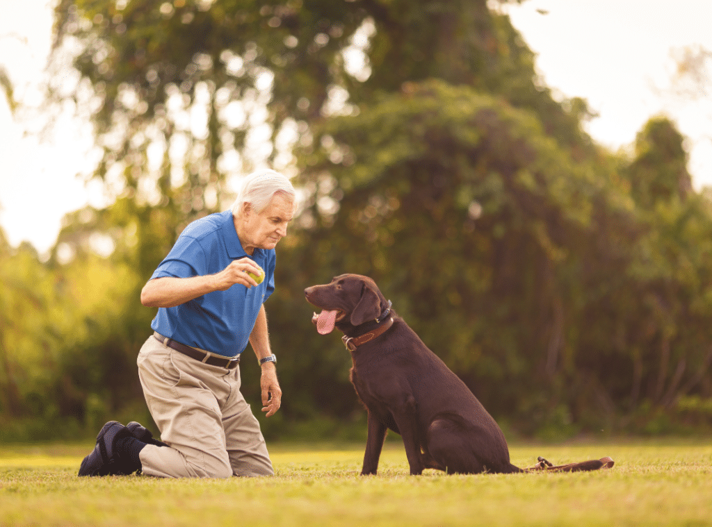 retirement ideas