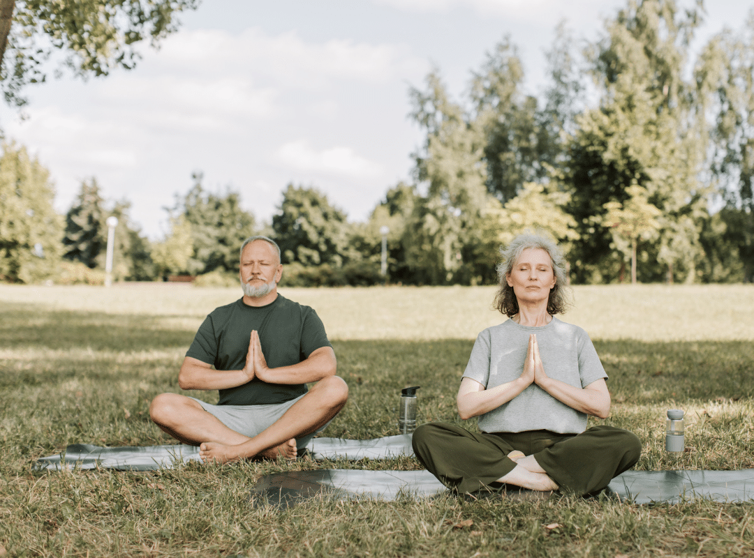 wellness program for elderly