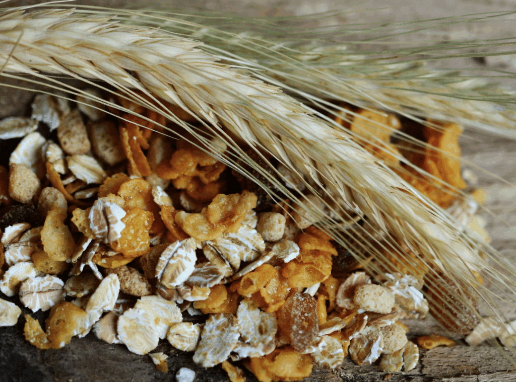 nutritious snacks for elderly​