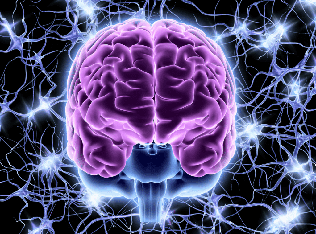 how to strengthen nervous system