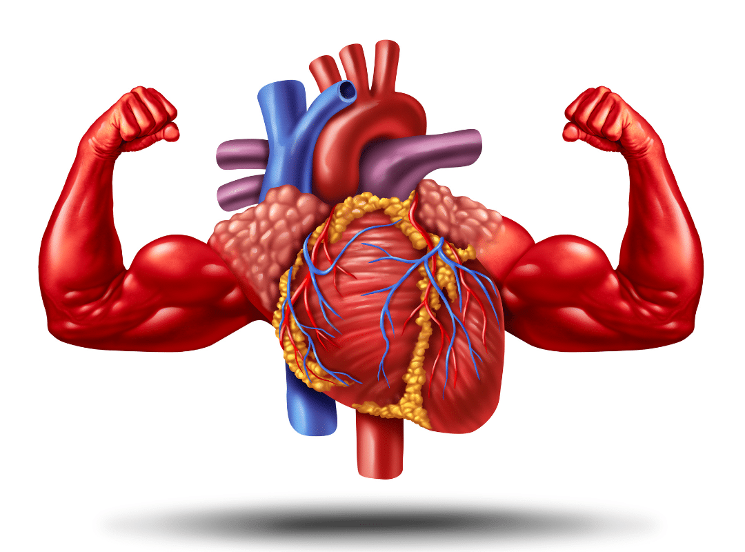how to know if heart is healthy