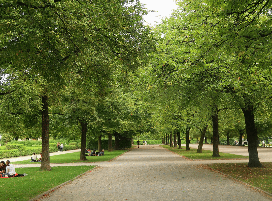 parks in culver city