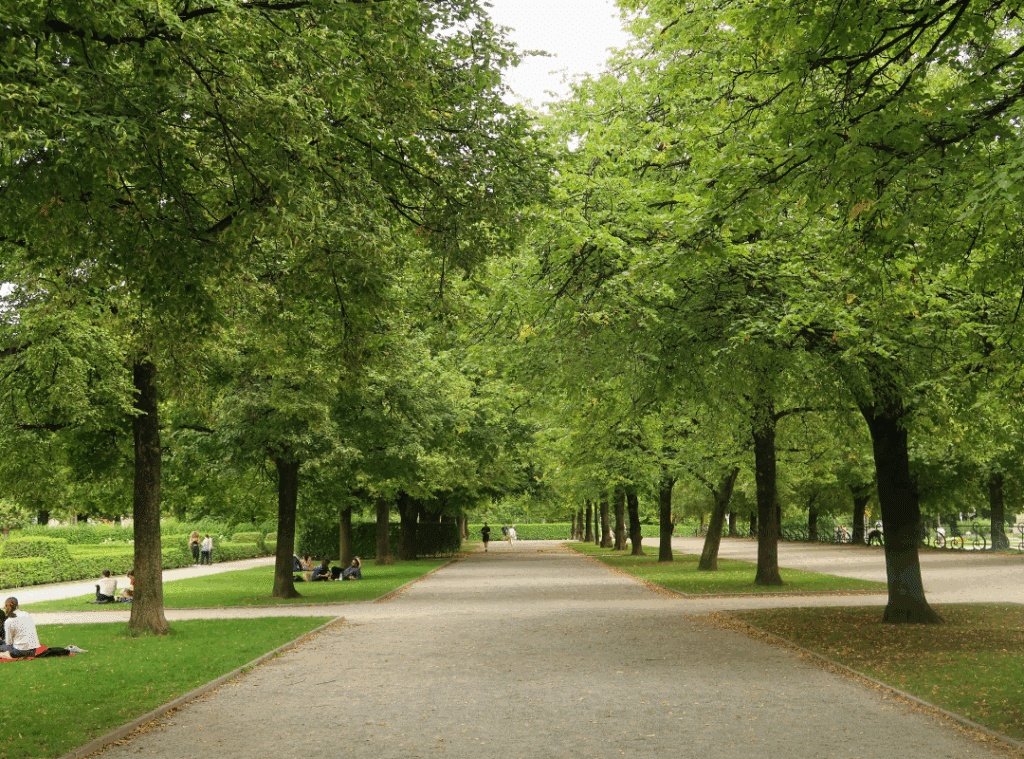 lincoln city parks and recreation