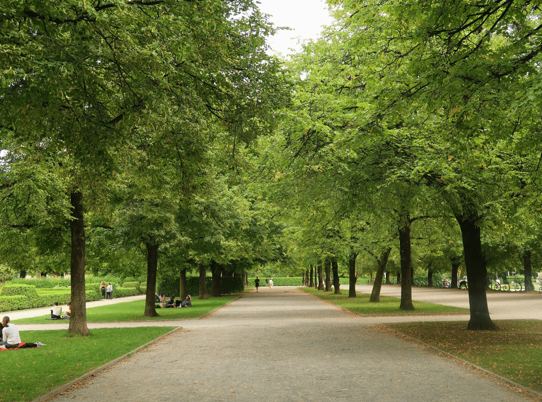 lincoln city parks and recreation