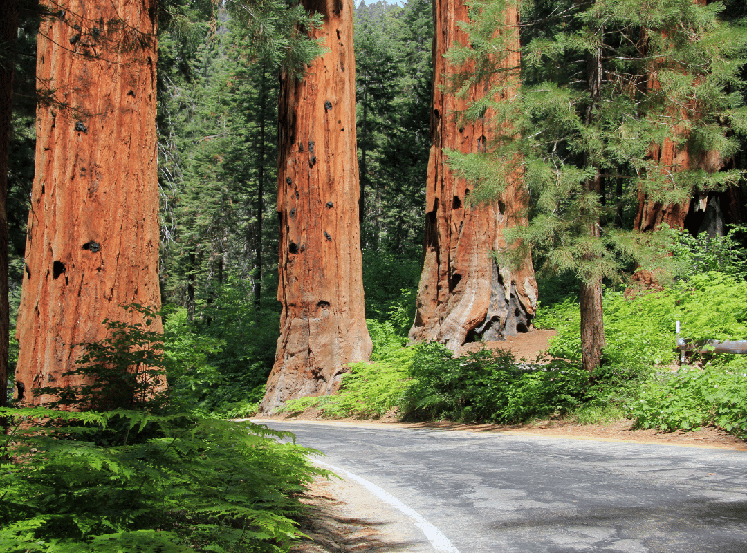 parks in escondido california