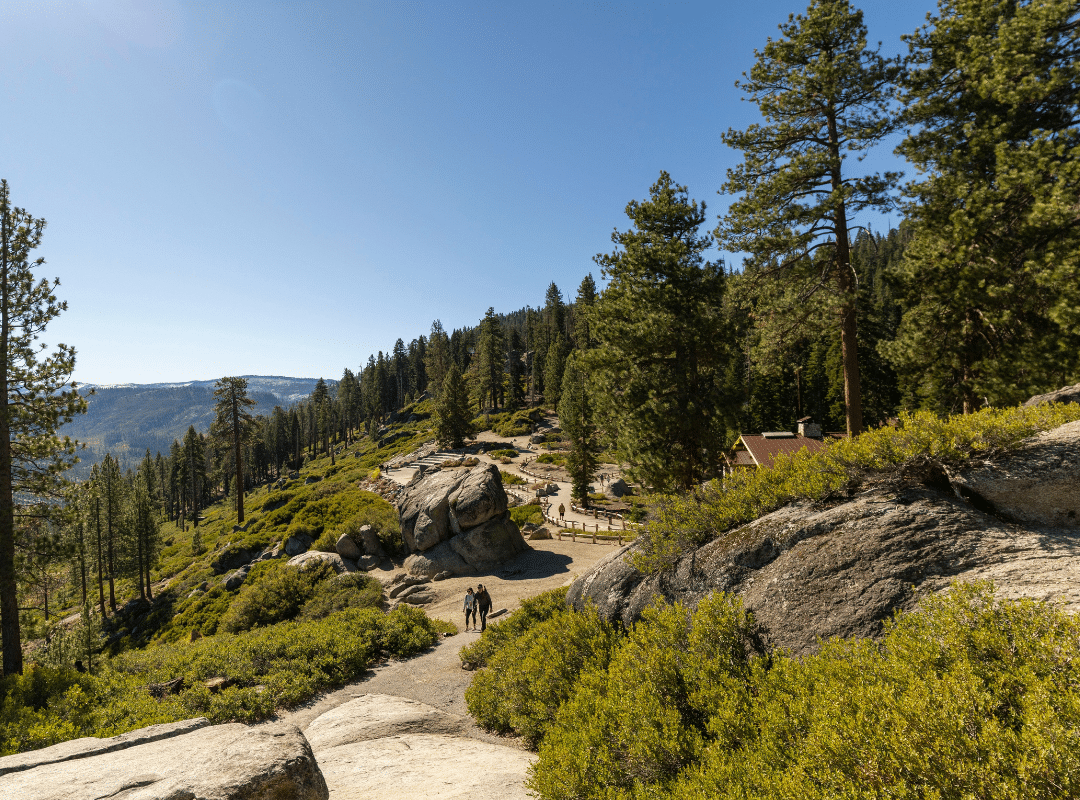 is santa cruz a good place to live