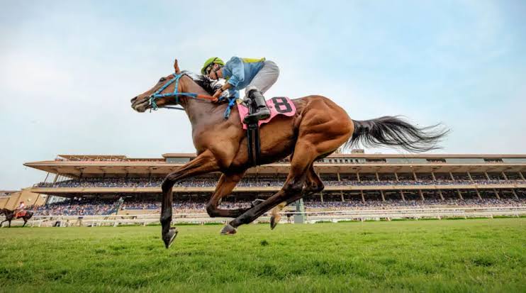 A Guide to the 2026 Pacific Classic at Del Mar